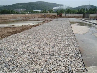 الفرق بين حصائر الشاطئ ذات الرمال الخضراء وأقفاص الشاطئ ذات الرمال الصلبة